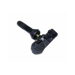 Lastik Sübabı Renault Megane 4