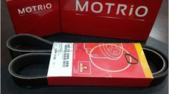 RENAULT MOTRIO ALTERNATÖR KAYIŞI 8671095308