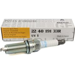 Buji  224019133R